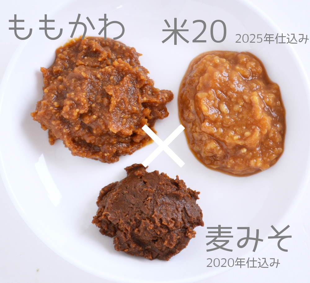 BLENDED Aブレンド前